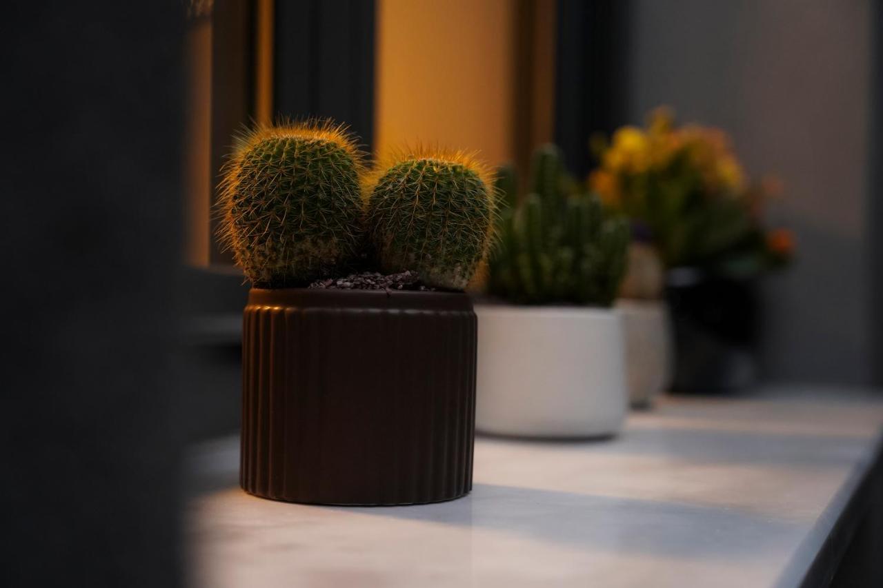 Apartmán Quattro Luxury Tríkala